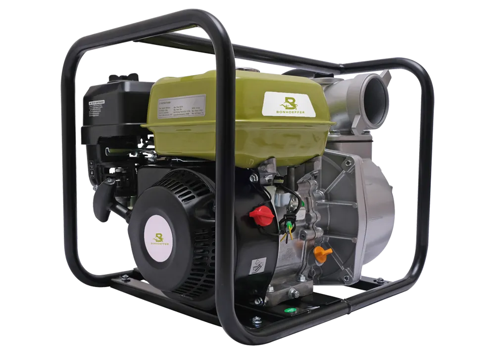 Imagen miniatura de Motobomba Bonhoeffer 6,5hp 3"