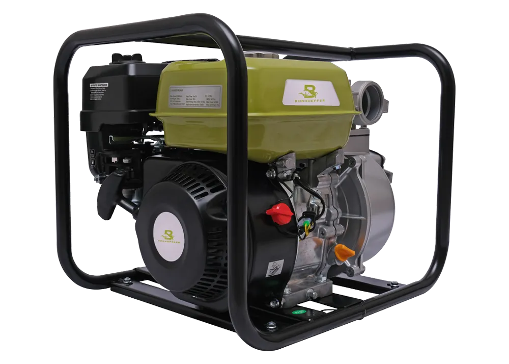Imagen miniatura de Motobomba  Bonhoeffer 6.5hp 2"